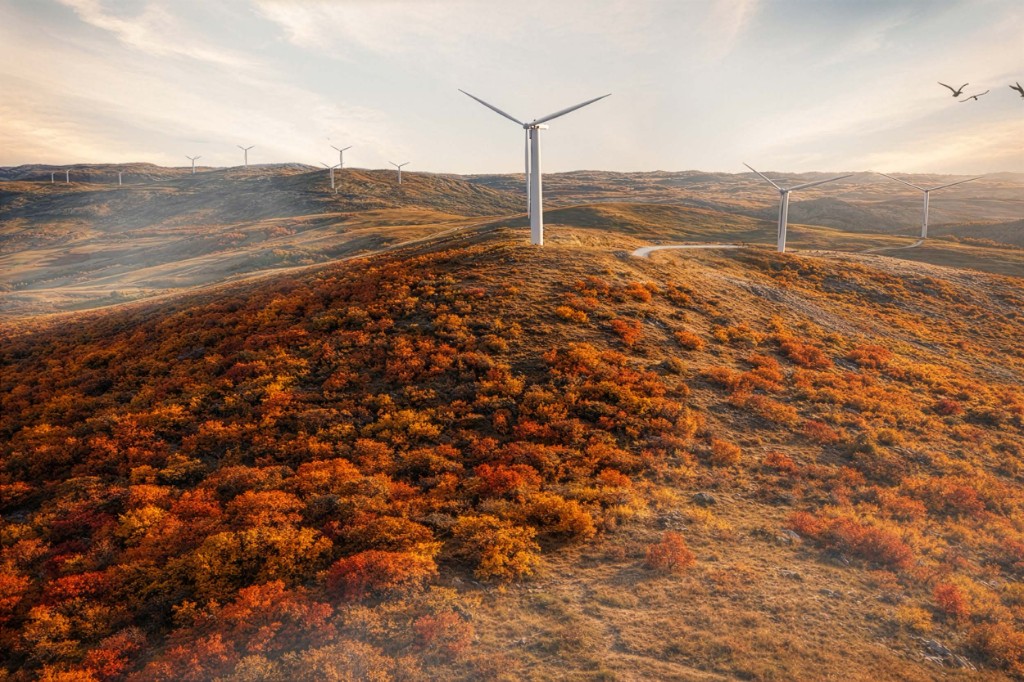 Obnovljiva energija